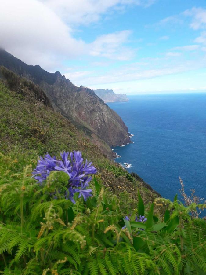 Funchal Bay View Holiday Rental Екстер'єр фото